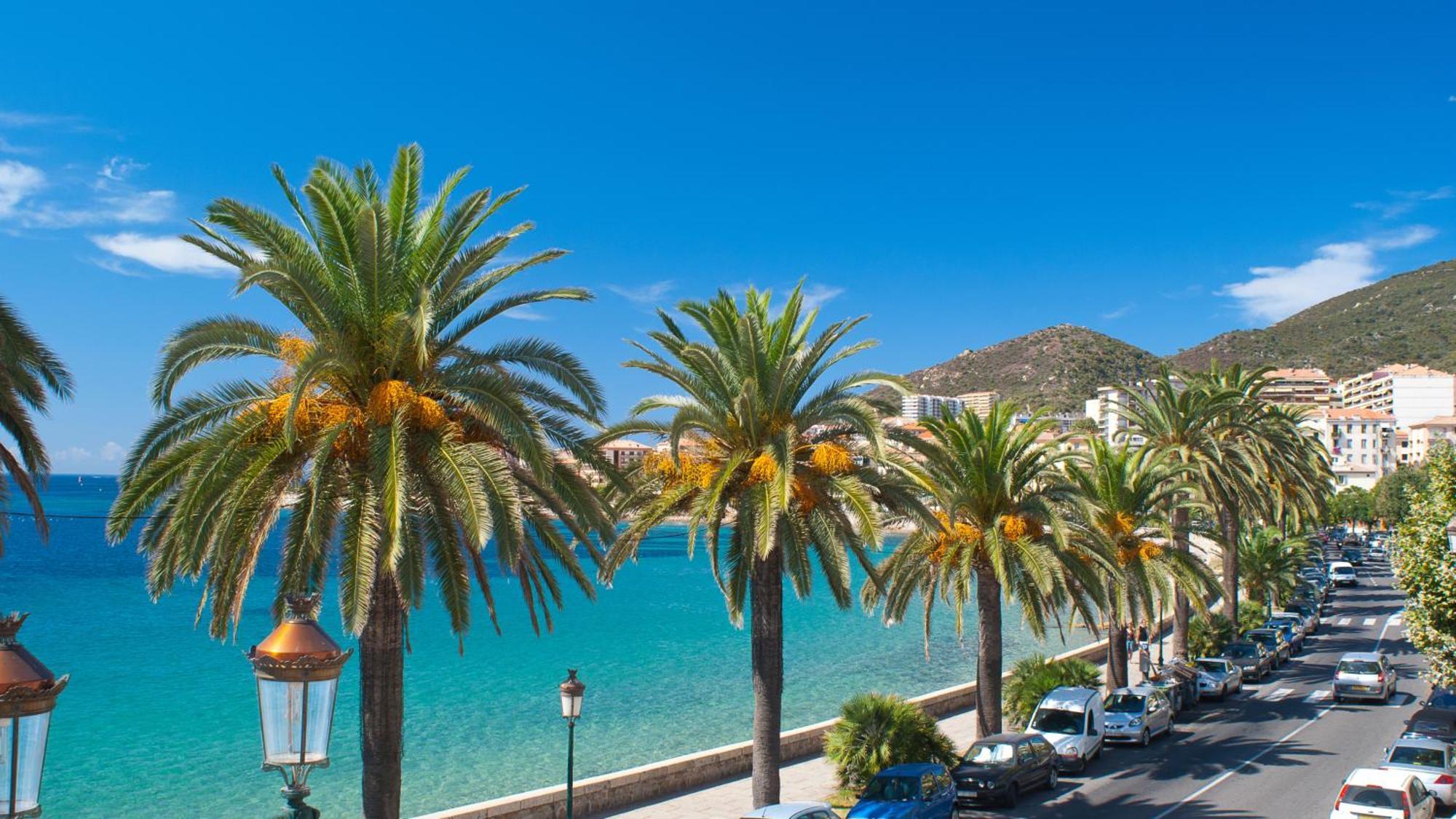 Evasion Corse - T2 Vue Mer, Piscine & Plage อฌักซิโอ้ ภายนอก รูปภาพ