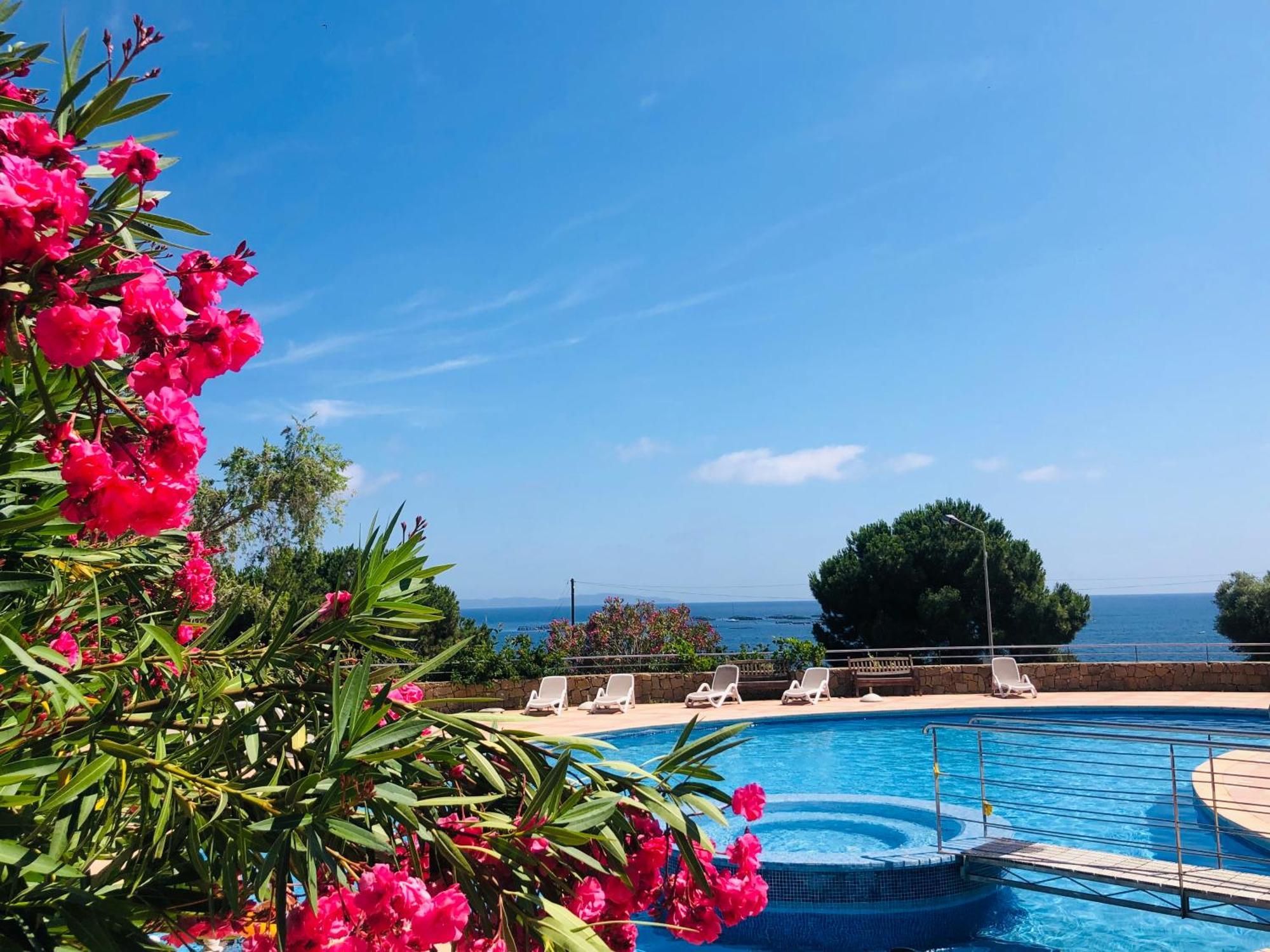 Evasion Corse - T2 Vue Mer, Piscine & Plage อฌักซิโอ้ ภายนอก รูปภาพ