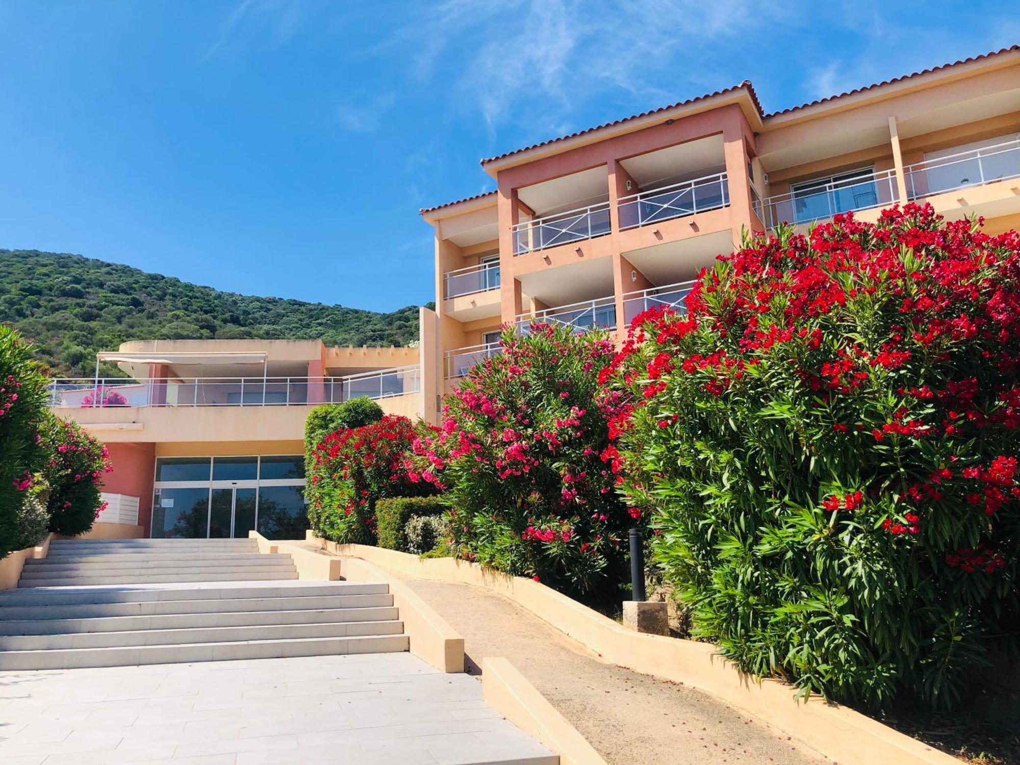 Evasion Corse - T2 Vue Mer, Piscine & Plage อฌักซิโอ้ ภายนอก รูปภาพ